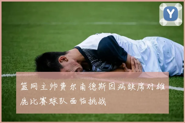 篮网主帅费尔南德斯因病缺席对雄鹿比赛球队面临挑战